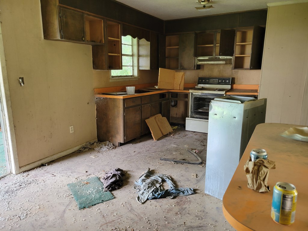 310 East Morris Street Samson, AL 36477 - Photo 5 of 12