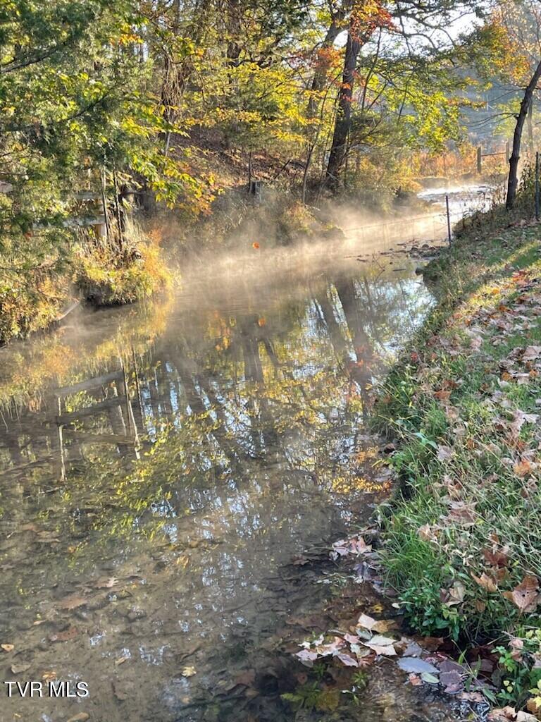 375 Middle Creek Road Afton, TN 37616 - Photo 95 of 119 Misty Morning