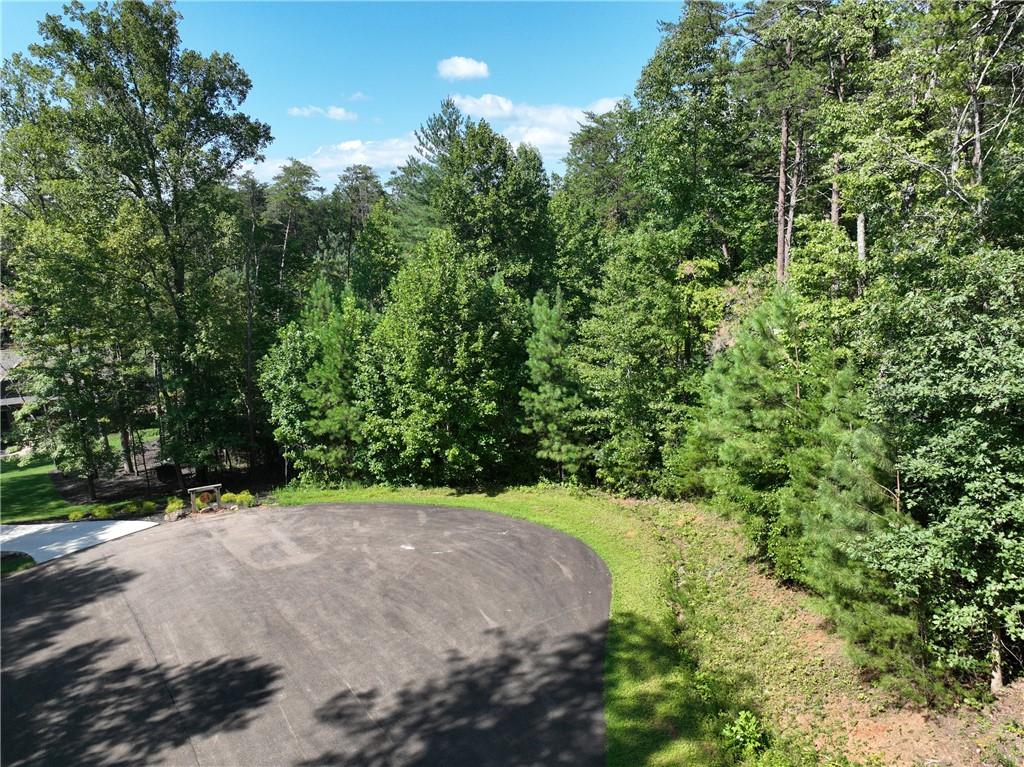 142 R Autumn Fern Lane Ellijay, GA 30536 - Photo 29 of 33 Gallery Image 29