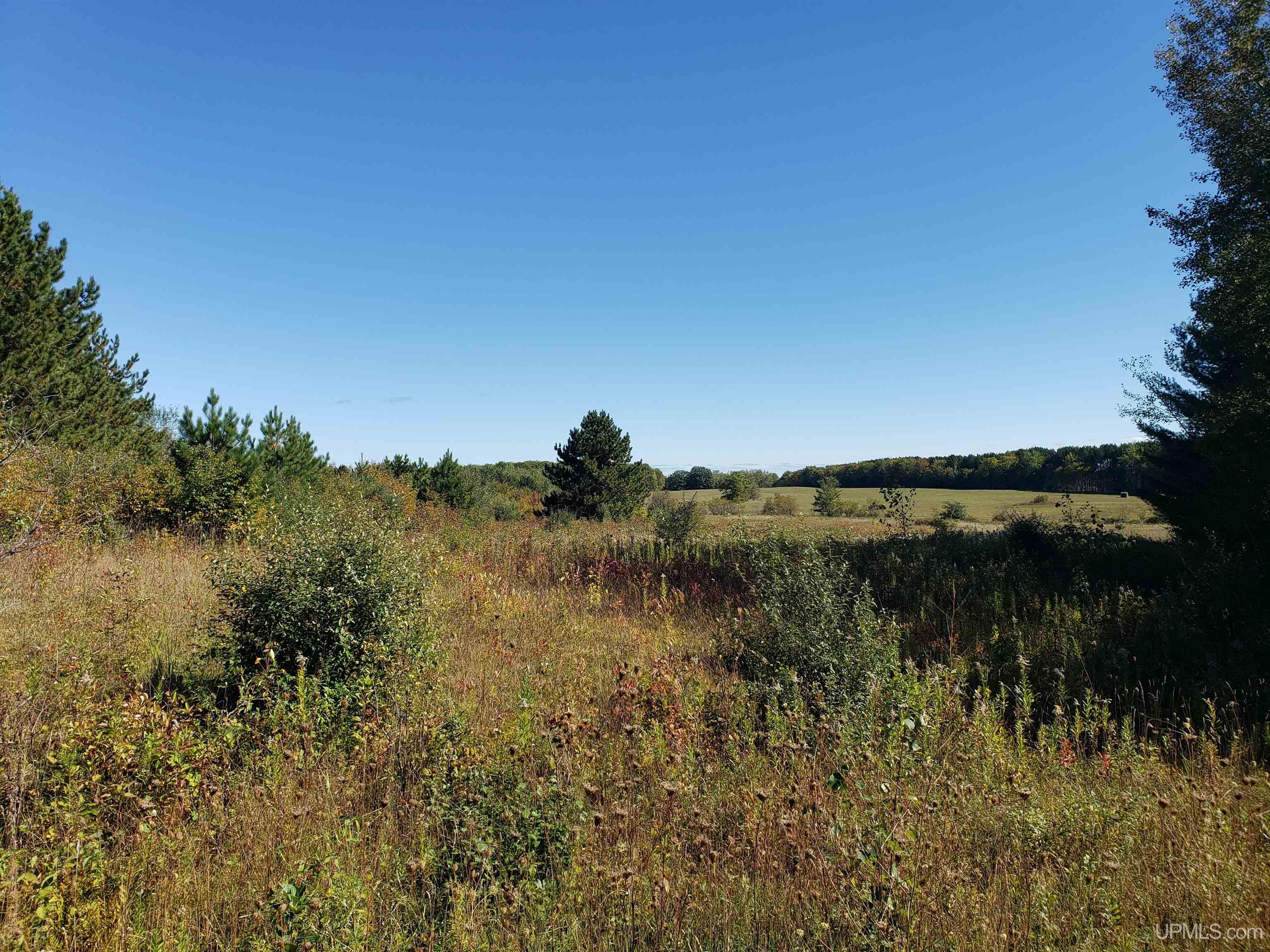 P2 Paradise Road Chassell, MI 49916 - Photo 21 of 22
