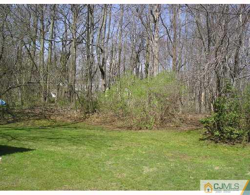 11 Amman Road Edison, NJ 08817 - Photo 10 of 10 a view of yard