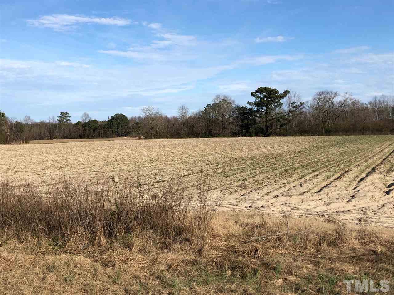 0 Bryant Pond Road Dunn, NC 28334 - Photo 1 of 5