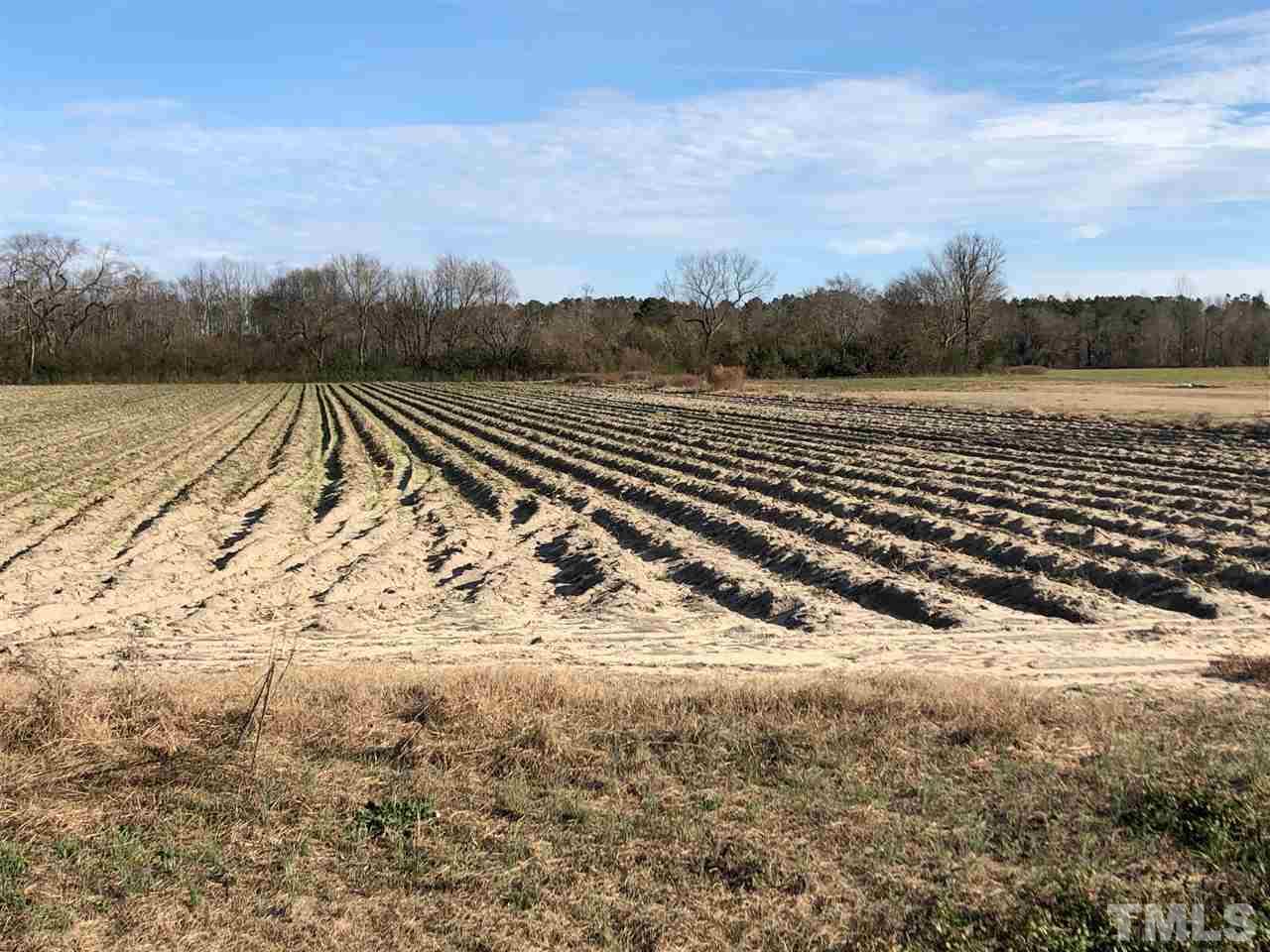 0 Bryant Pond Road Dunn, NC 28334 - Photo 2 of 5