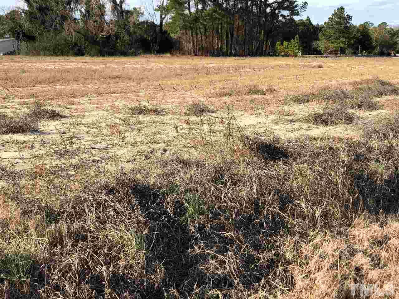 0 Bryant Pond Road Dunn, NC 28334 - Photo 3 of 5