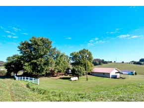 131 Upper Road Parrottsville, TN 37843 - Photo 24 of 24 Photo 24