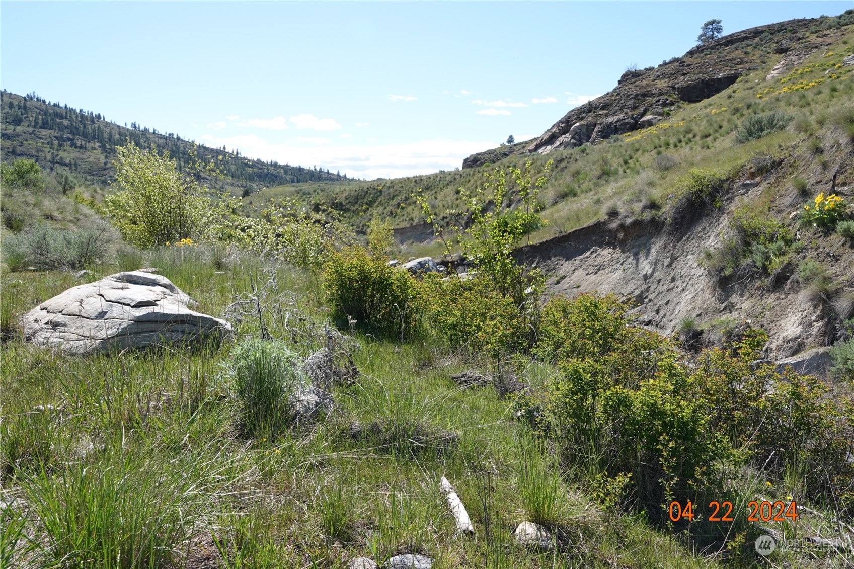 123 McLaughlin Canyon Road Riverside, WA 98849 - Photo 17 of 40 Gallery Image 17