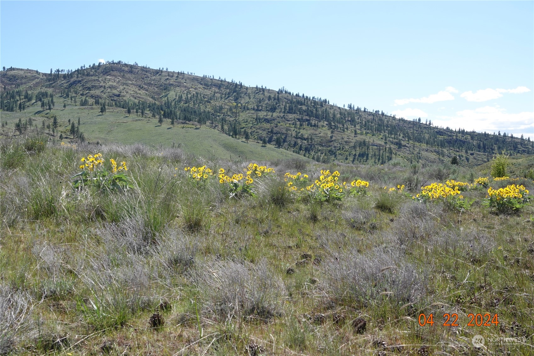 123 McLaughlin Canyon Road Riverside, WA 98849 - Photo 20 of 40 Gallery Image 20