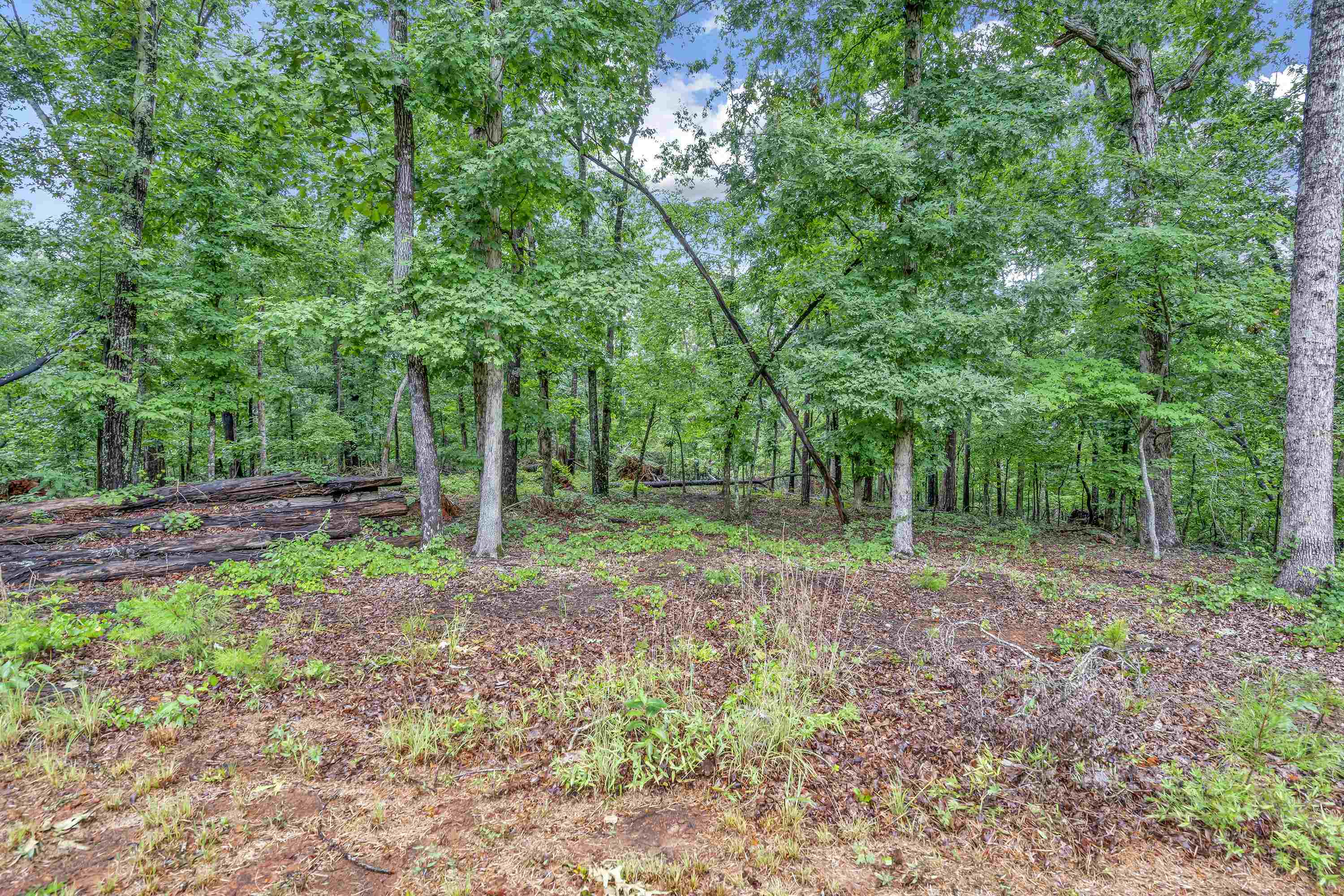 850 Bud Arthur Bridge Road Cowpens, SC 29330 - Photo 21 of 22 Gallery Image 21