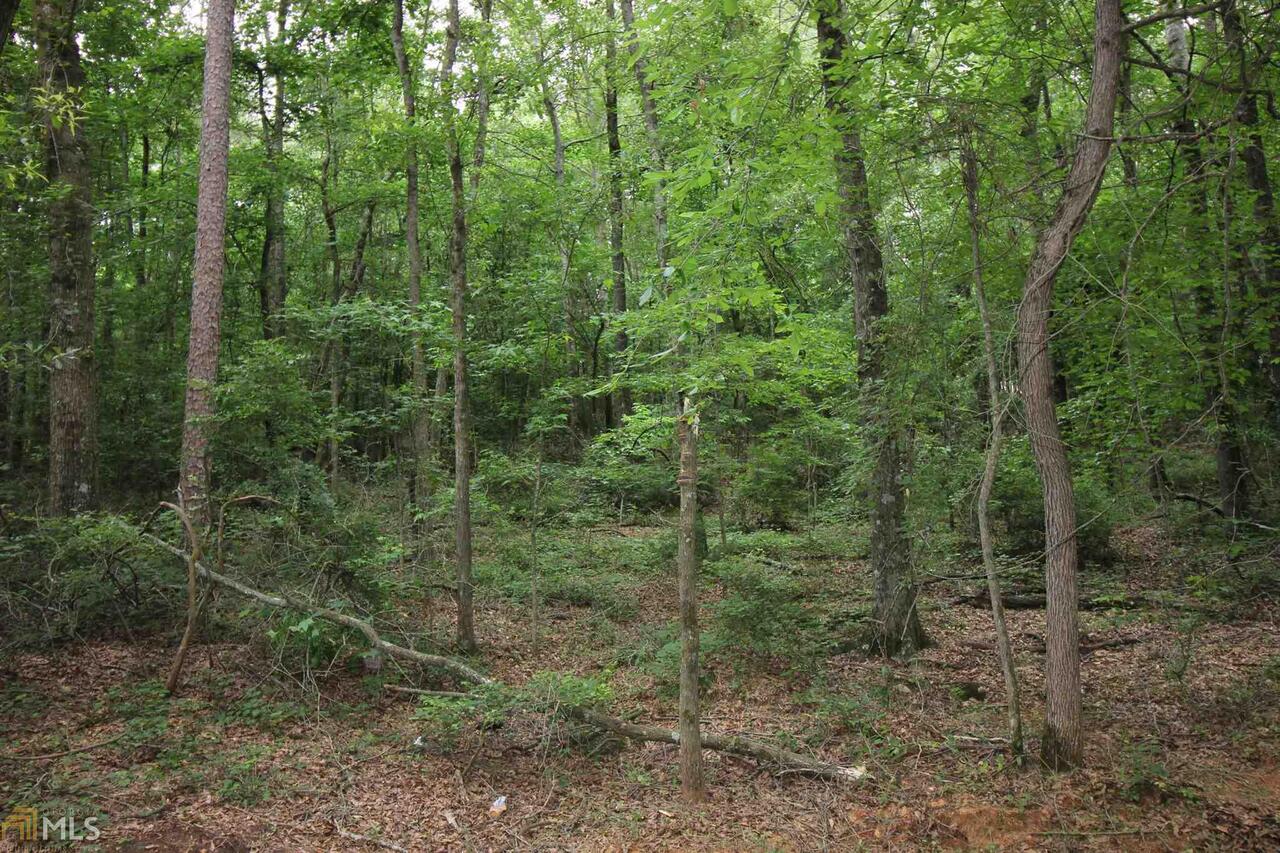 0 River Run Trail, Unit 2 Carnesville, GA 30521 - Photo 1 of 1 Gallery Image 1