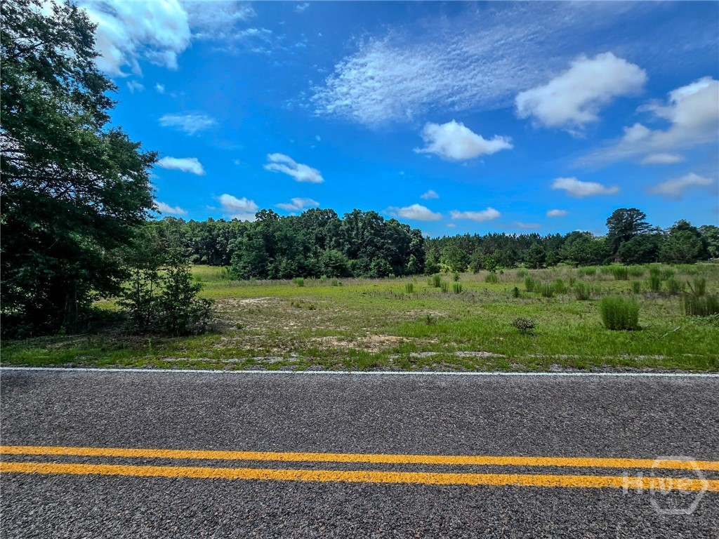 0 Village Road Sylvania, GA 30467 - Photo 2 of 3 Gallery Image 2