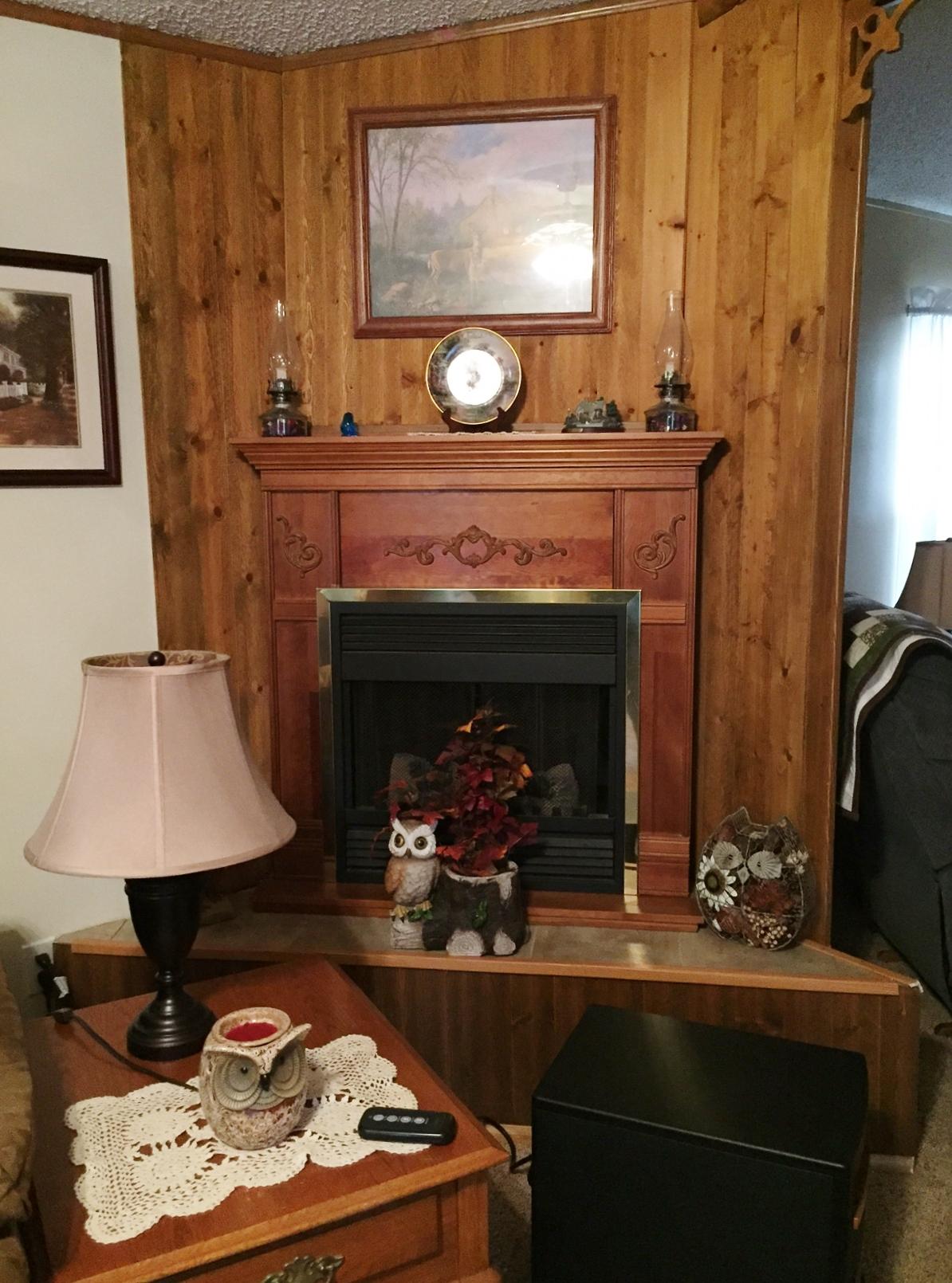 101 Raccoon Creek Road Crossville, TN 38572 - Photo 3 of 18 4-Living Room Fireplace