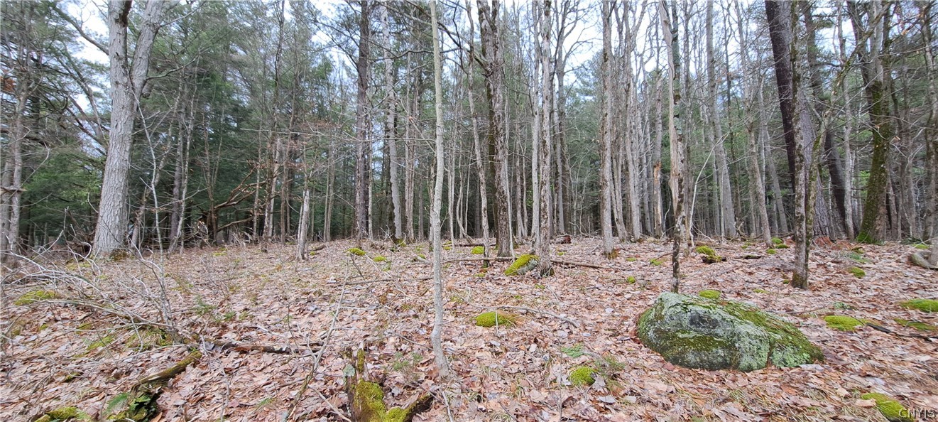 0 Sweet Point Road Redwood, NY 13679 - Photo 2 of 10