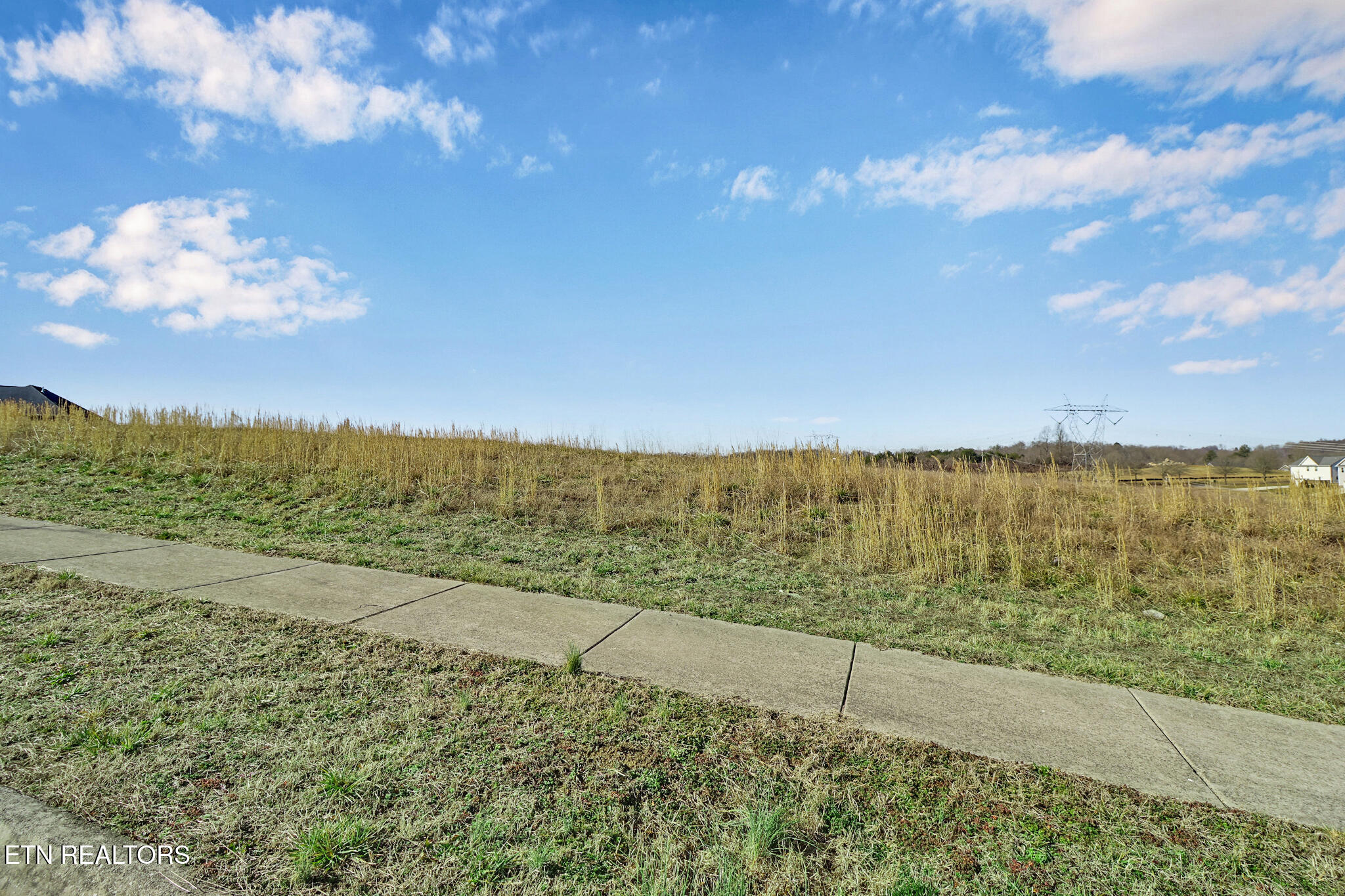 111 Hollyberry Road Oak Ridge, TN 37830 - Photo 8 of 9 if1a8994-if1a8998