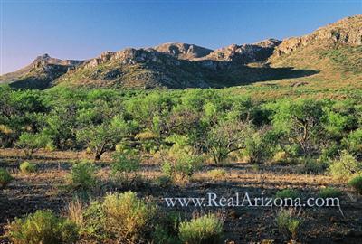 17 Poorwill Canyon Road Rio Rico, AZ 85648 - Photo 9 of 9
