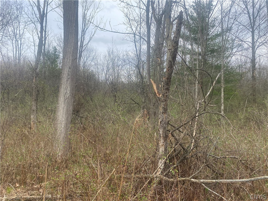 8708 Oramel Hill Road Caneadea, NY 14717 - Photo 10 of 11