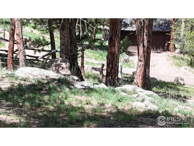 a black and white photo of a house