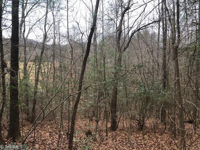 Tbd Rom Eller Road Ferguson, NC 28624 - Photo 6 of 9
