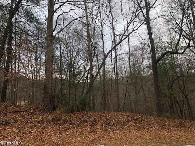 Tbd Rom Eller Road Ferguson, NC 28624 - Photo 7 of 9