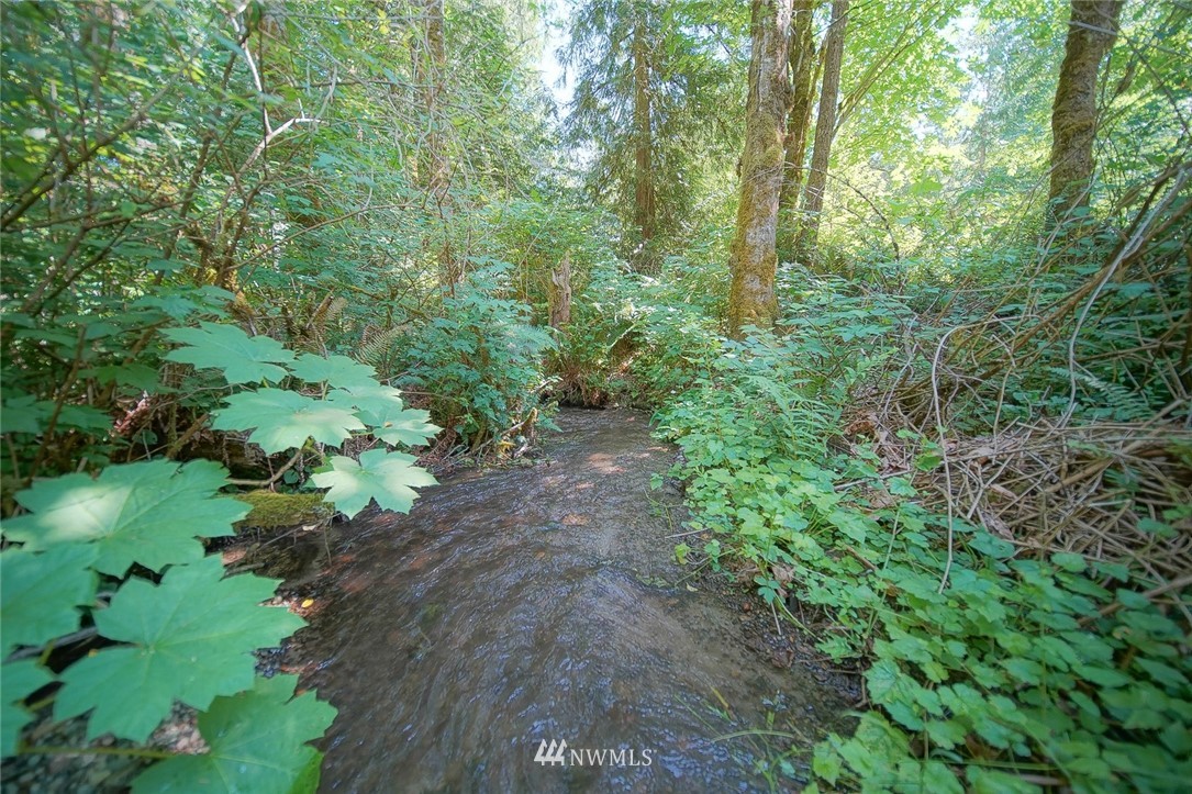 4860 Southeast Hovgaard Road Olalla, WA 98367 - Photo 15 of 40 Gallery Image 15
