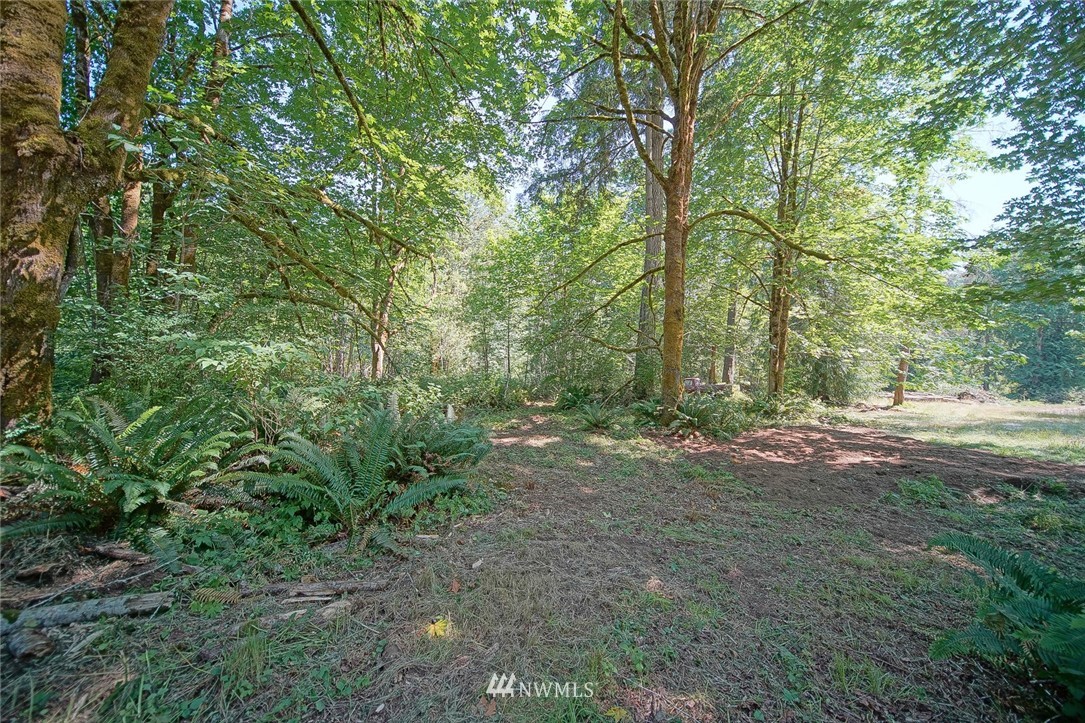 4860 Southeast Hovgaard Road Olalla, WA 98367 - Photo 10 of 40 Gallery Image 10