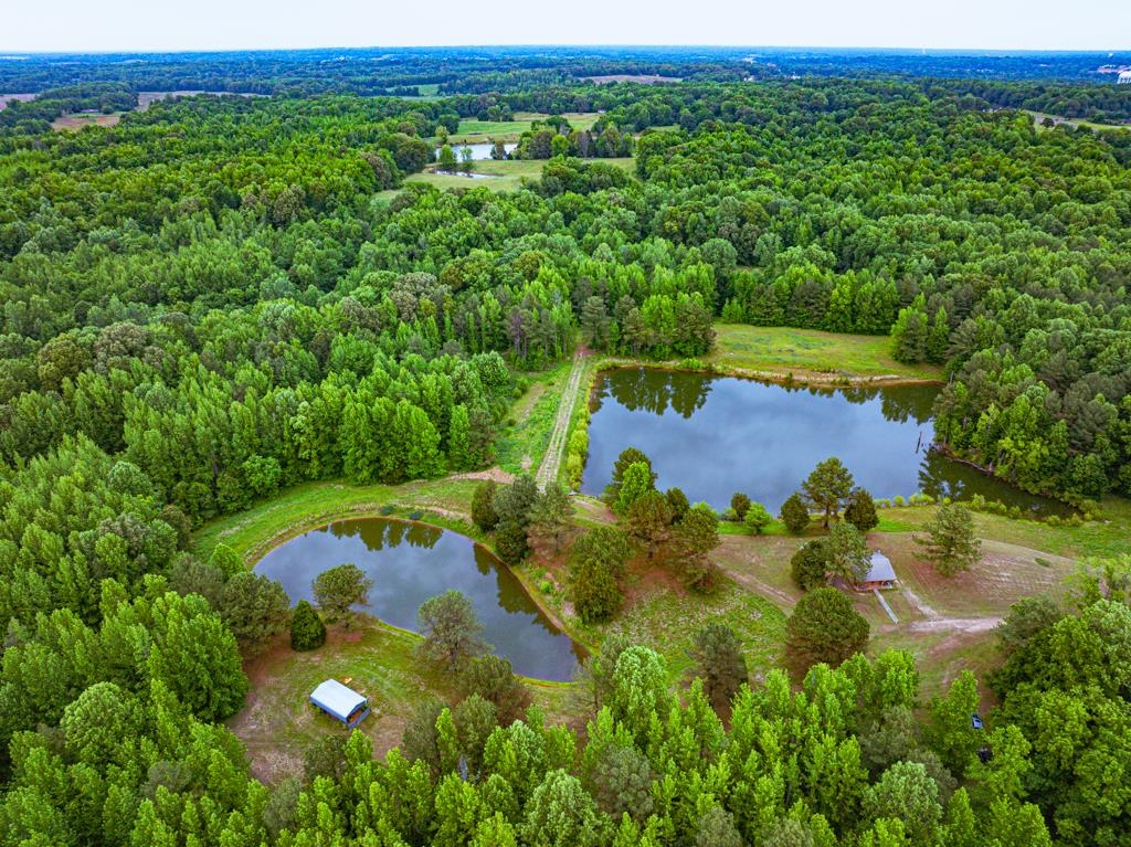 0 Poplar Grove Cemetery Road Henning, TN 38041 - Photo 22 of 40 Expansive wooded property featuring two large ponds, a smaller pond, and a storage structure