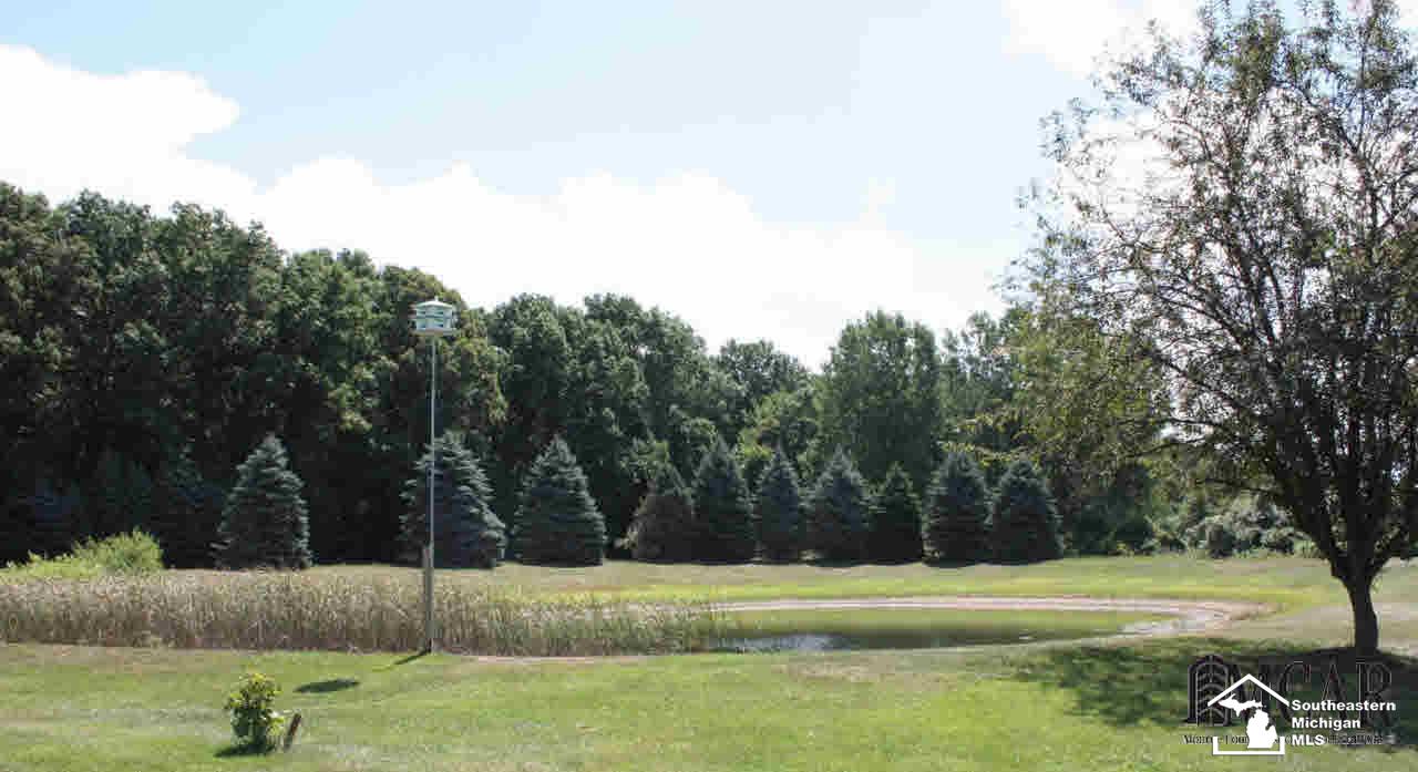 15183 West Albain Road Petersburg, MI 49270 - Photo 24 of 29 21202898-23.JPG