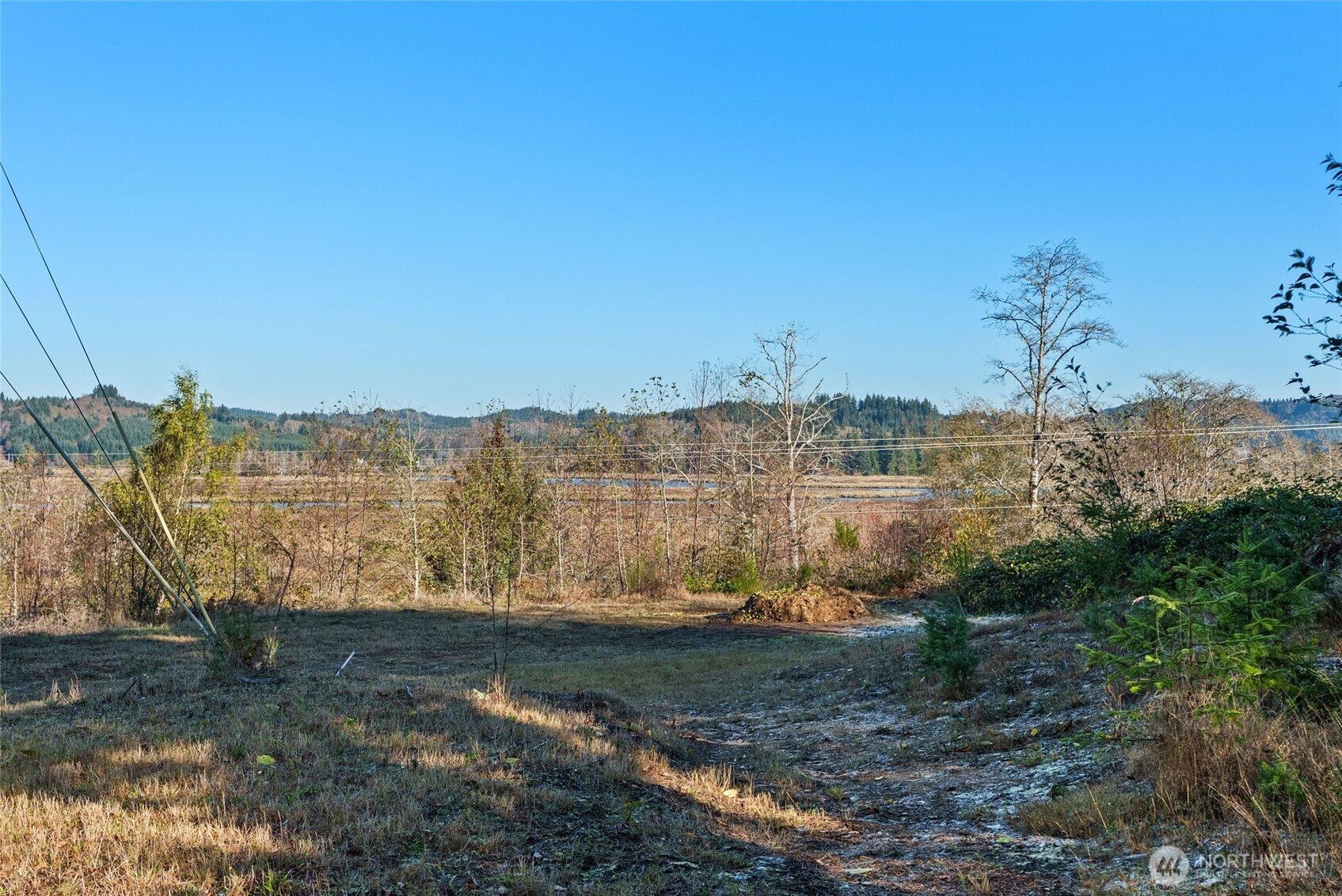 0 X Morris Street Raymond, WA 98577 - Photo 5 of 13