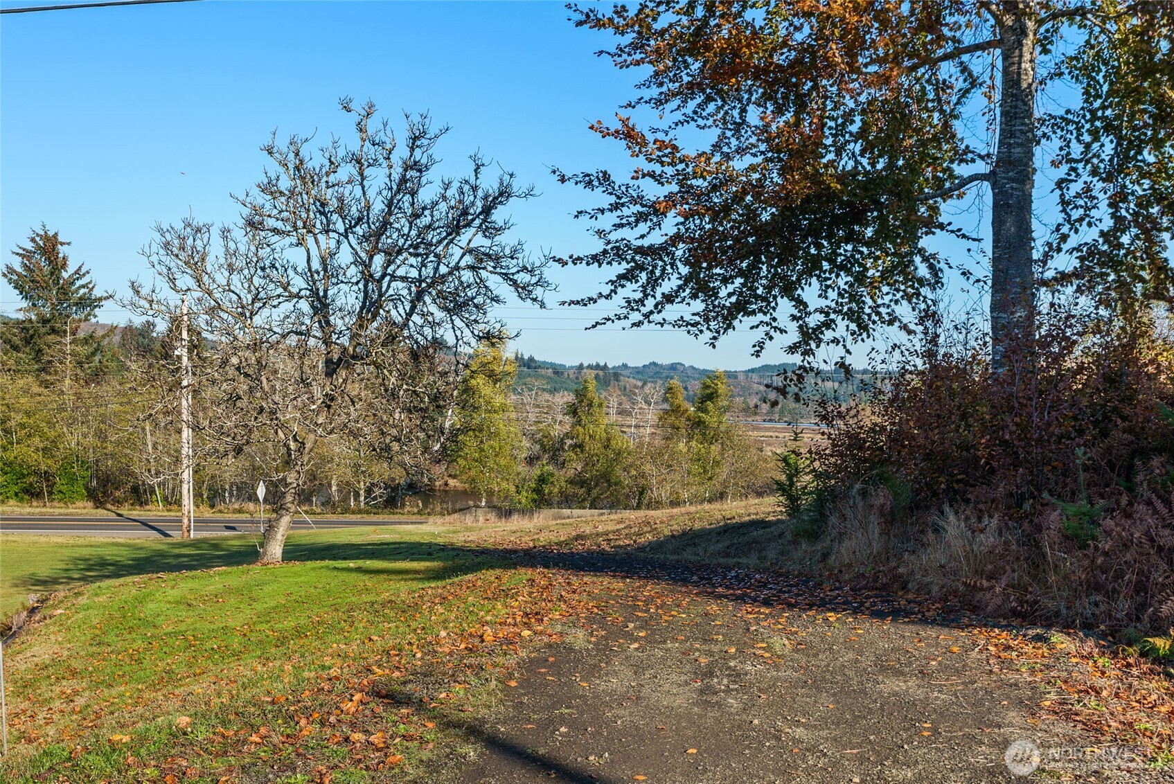 0 X Morris Street Raymond, WA 98577 - Photo 8 of 13