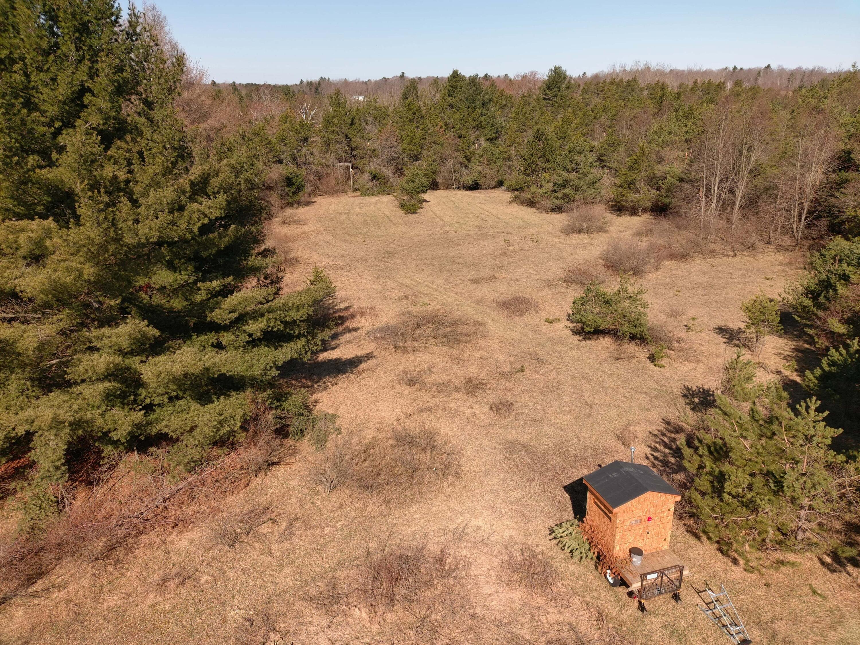 3651 McNeil Road Lincoln, MI 48742 - Photo 50 of 66 Gallery Image 50