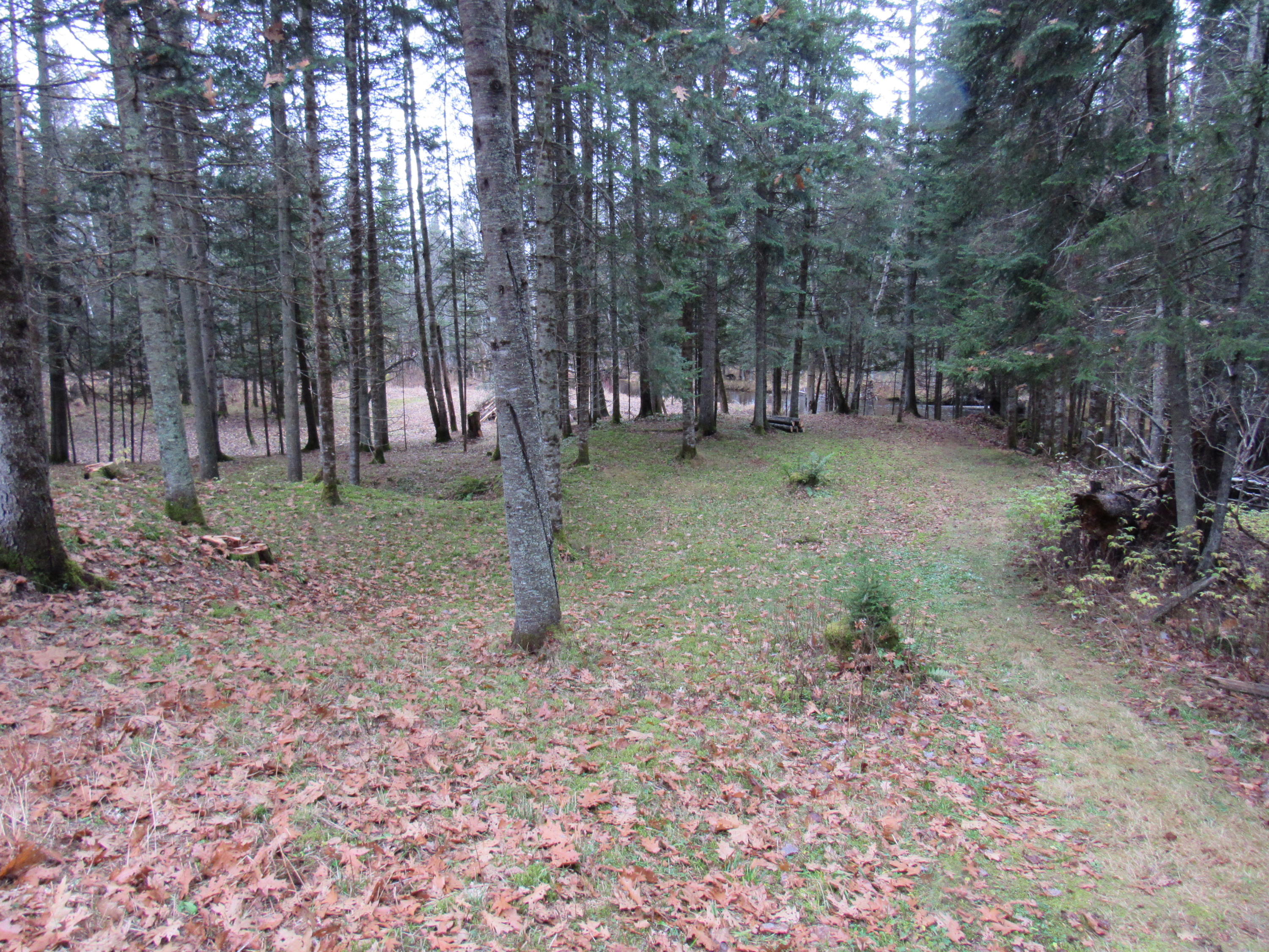 86 Heald Stream Road Jackman, ME 04945 - Photo 5 of 26 IMG_4558