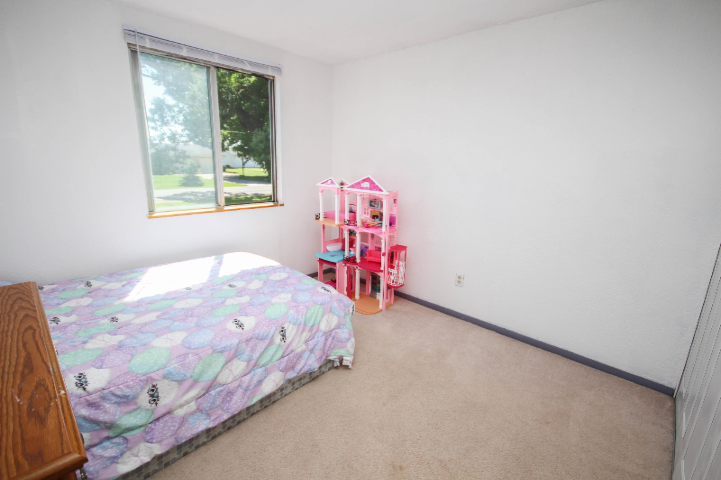 55634 Buckhorn Road Three Rivers, MI 49093 - Photo 21 of 25 untitled (9 of 25)
