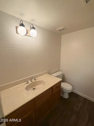 a bathroom with a sink vanity and a toilet