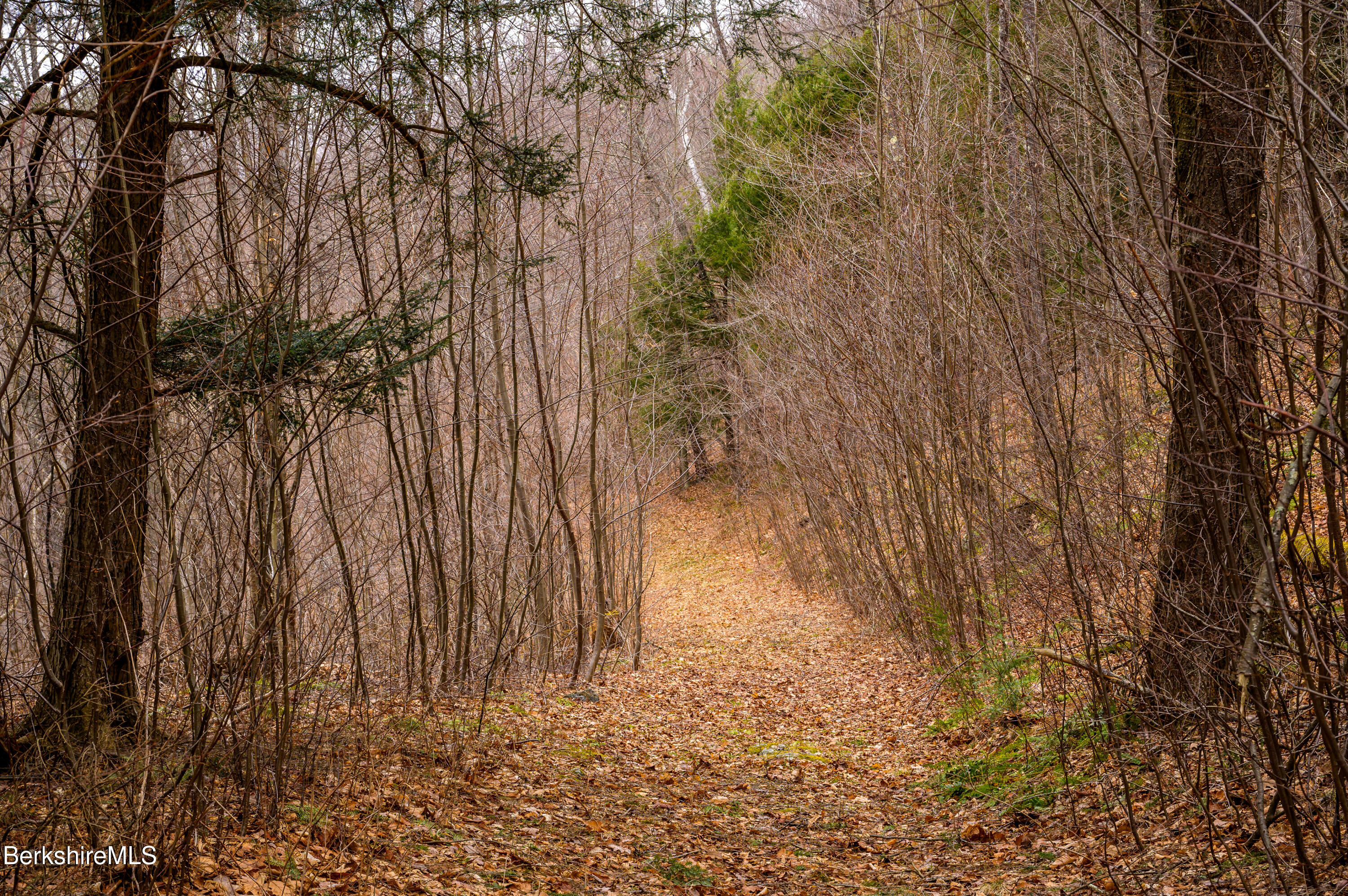 206 Stevens Glen Road Richmond, MA 01254 - Photo 12 of 49 Print - 00 Stevens Glen Rd Richmond MA 0