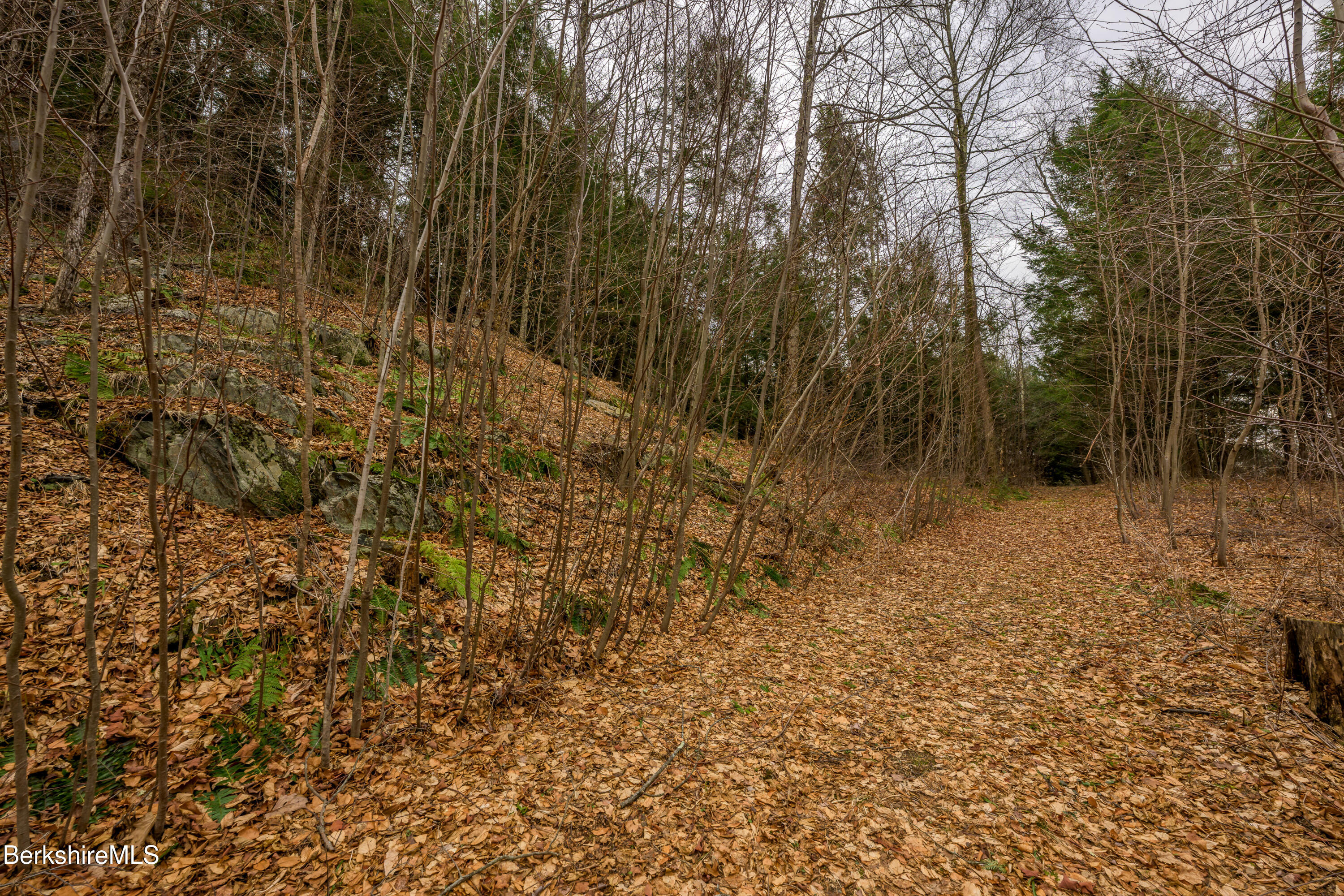 206 Stevens Glen Road Richmond, MA 01254 - Photo 22 of 49 Print - 00 Stevens Glen Rd Richmond MA 0