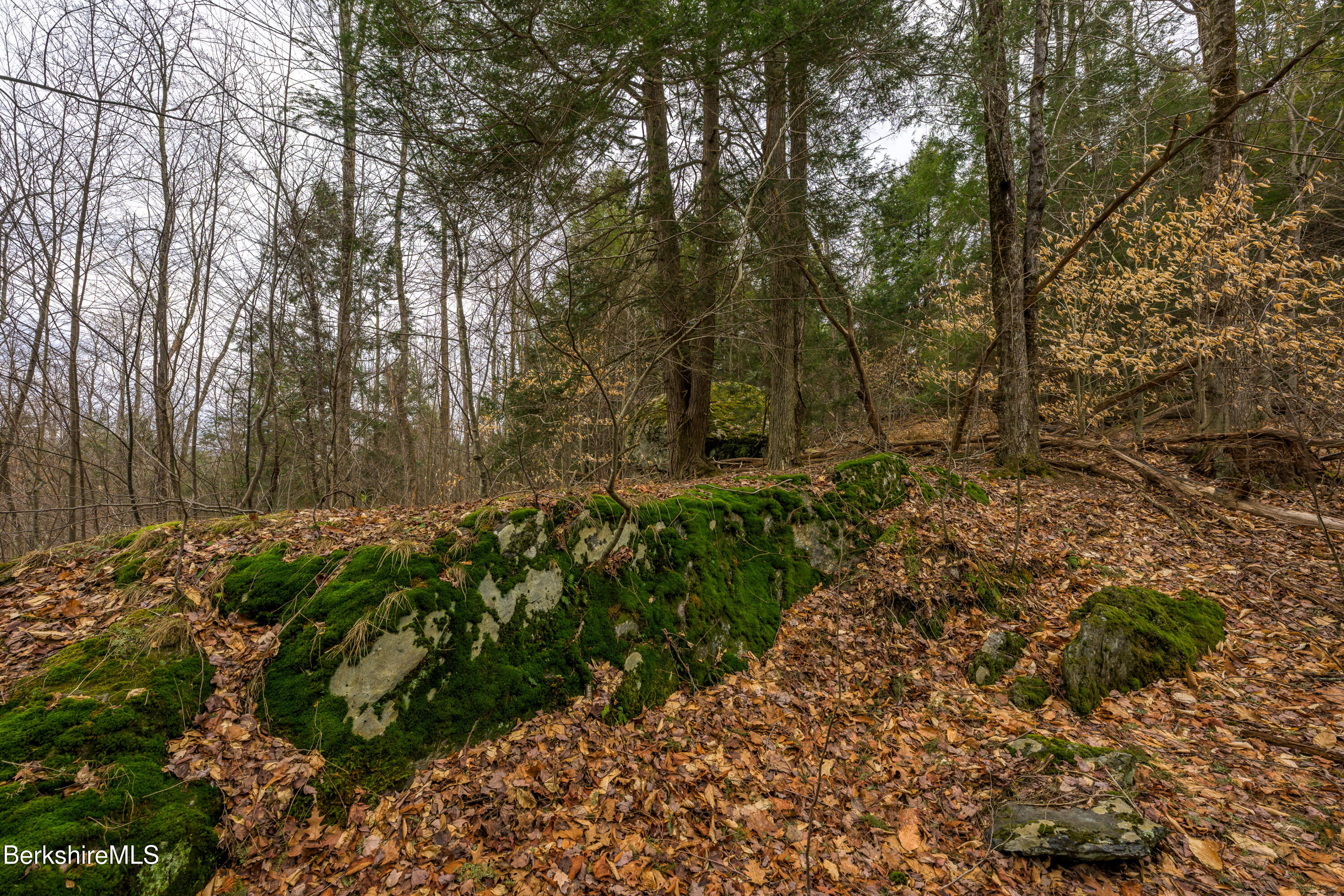 206 Stevens Glen Road Richmond, MA 01254 - Photo 25 of 49 Print - 00 Stevens Glen Rd Richmond MA 0