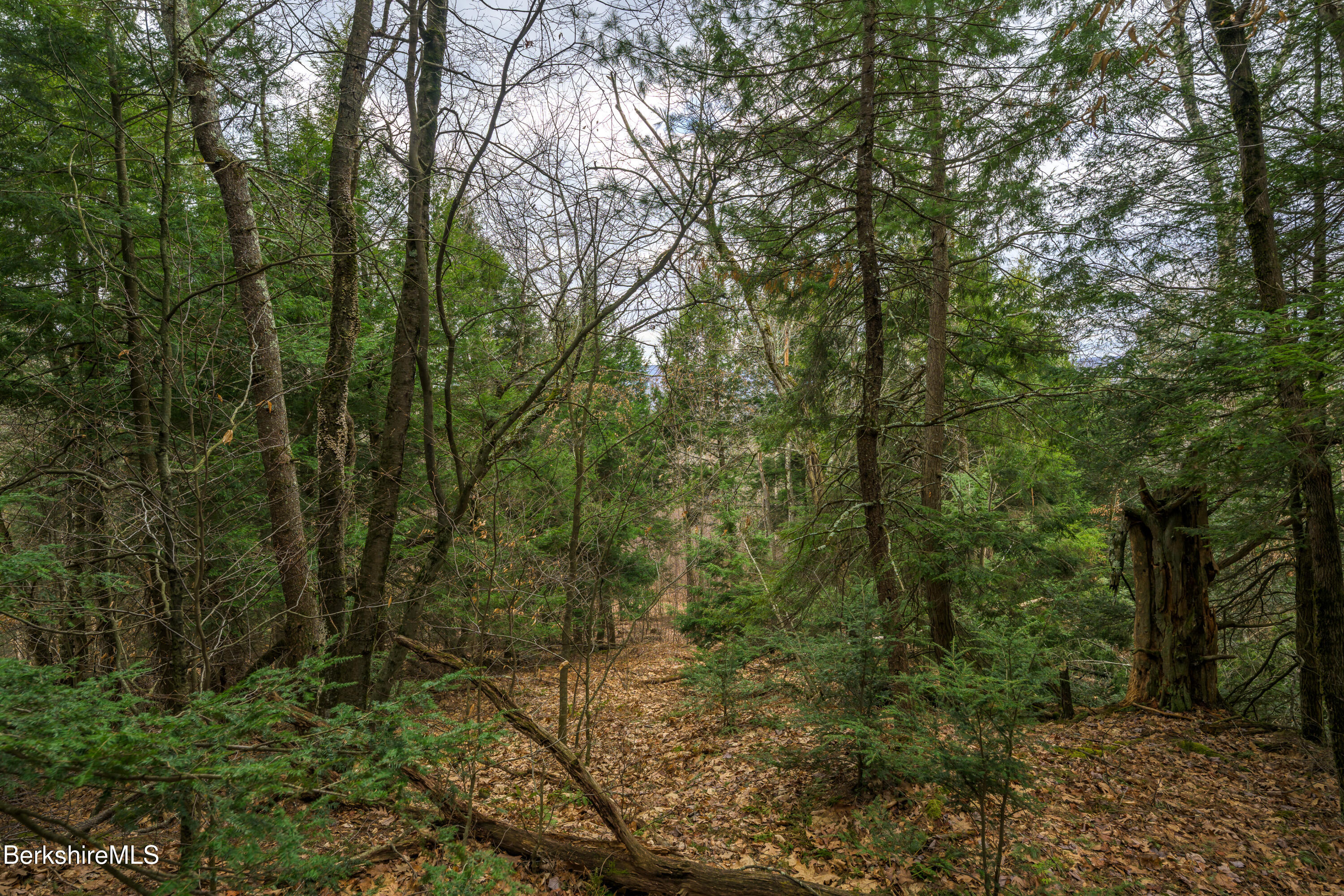 206 Stevens Glen Road Richmond, MA 01254 - Photo 26 of 49 Print - 00 Stevens Glen Rd Richmond MA 0