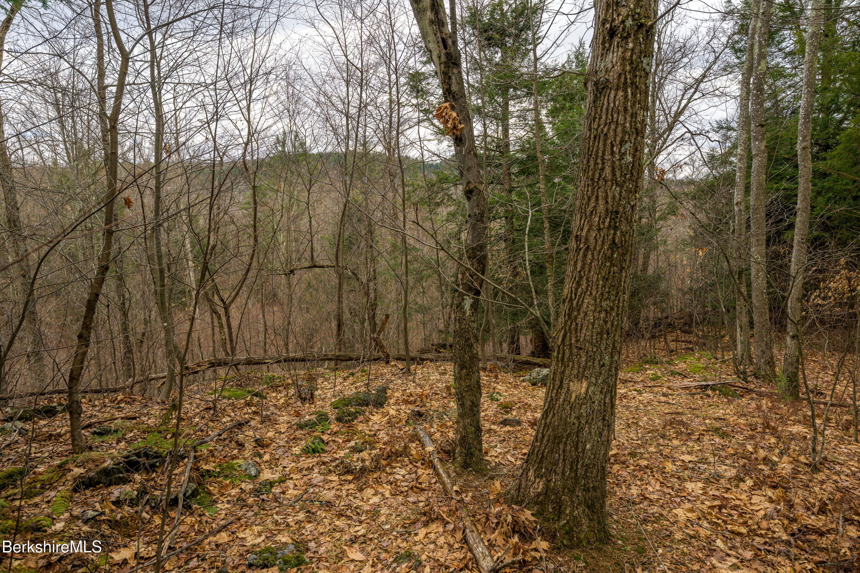 206 Stevens Glen Road Richmond, MA 01254 - Photo 27 of 49 Print - 00 Stevens Glen Rd Richmond MA 0