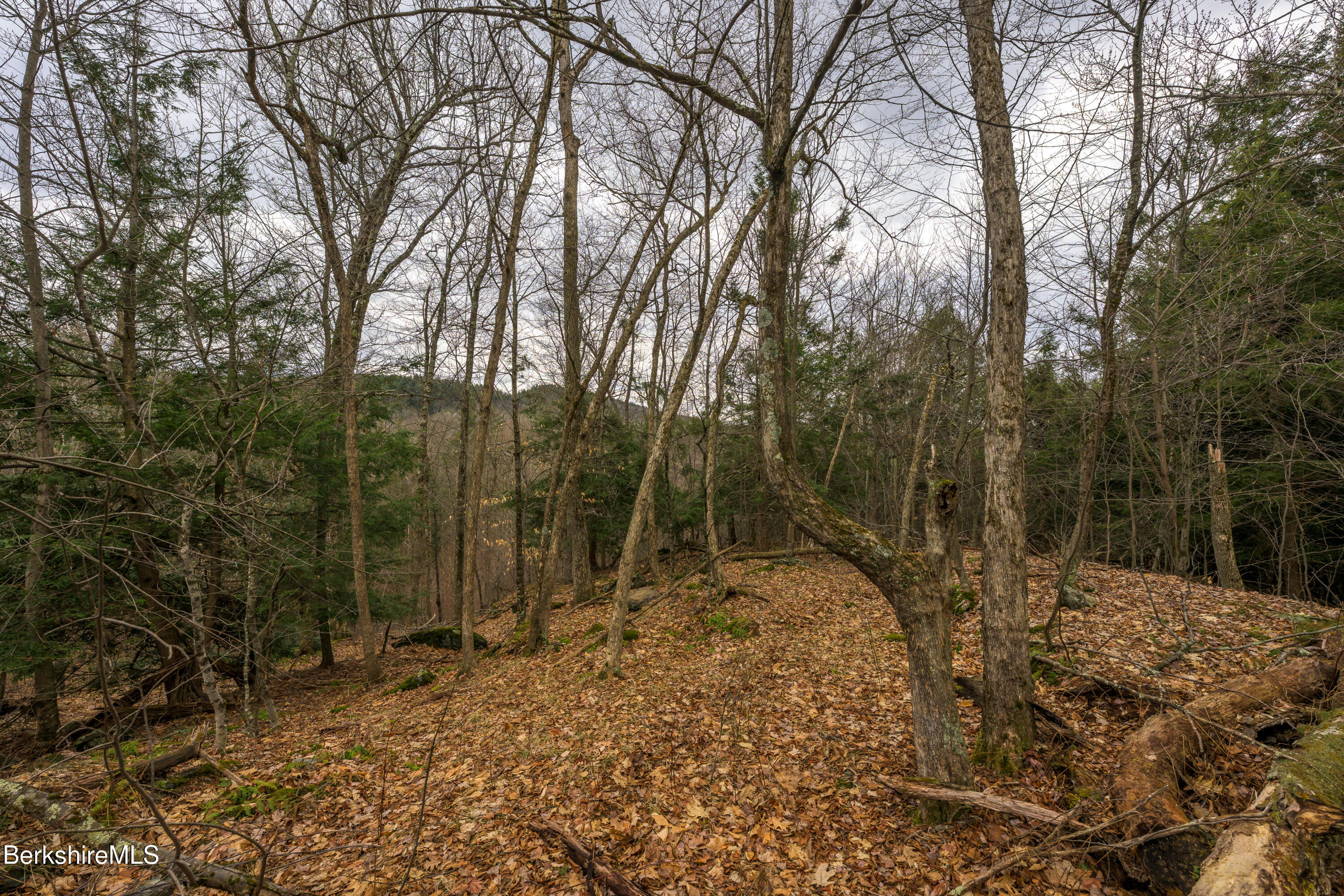 206 Stevens Glen Road Richmond, MA 01254 - Photo 28 of 49 Print - 00 Stevens Glen Rd Richmond MA 0