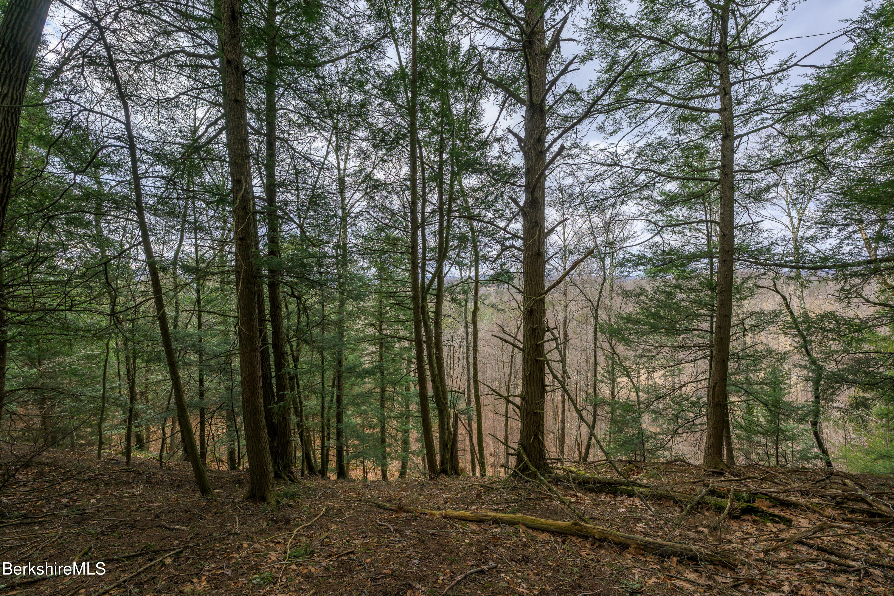 206 Stevens Glen Road Richmond, MA 01254 - Photo 30 of 49 Print - 00 Stevens Glen Rd Richmond MA 0