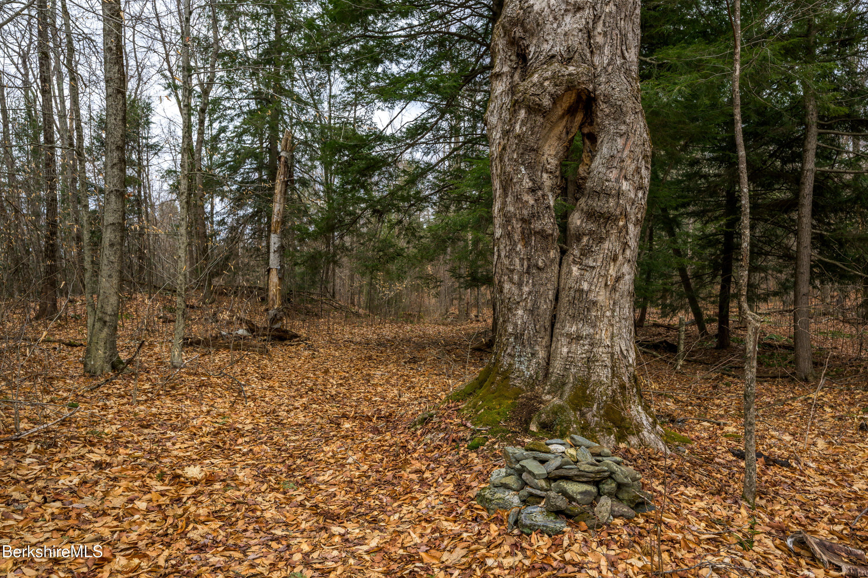 206 Stevens Glen Road Richmond, MA 01254 - Photo 31 of 49 Print - 00 Stevens Glen Rd Richmond MA 0