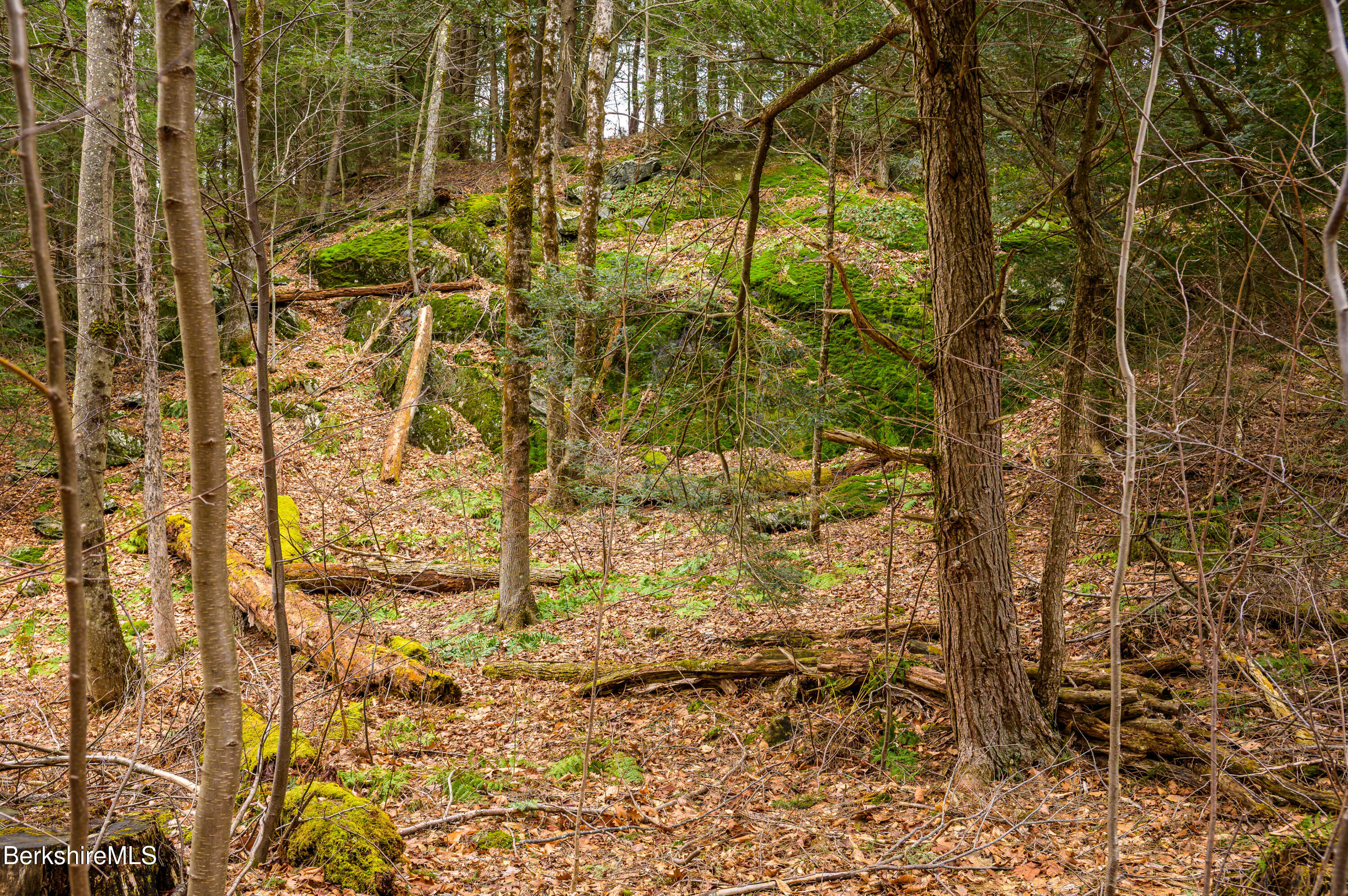 206 Stevens Glen Road Richmond, MA 01254 - Photo 33 of 49 Print - 00 Stevens Glen Rd Richmond MA 0