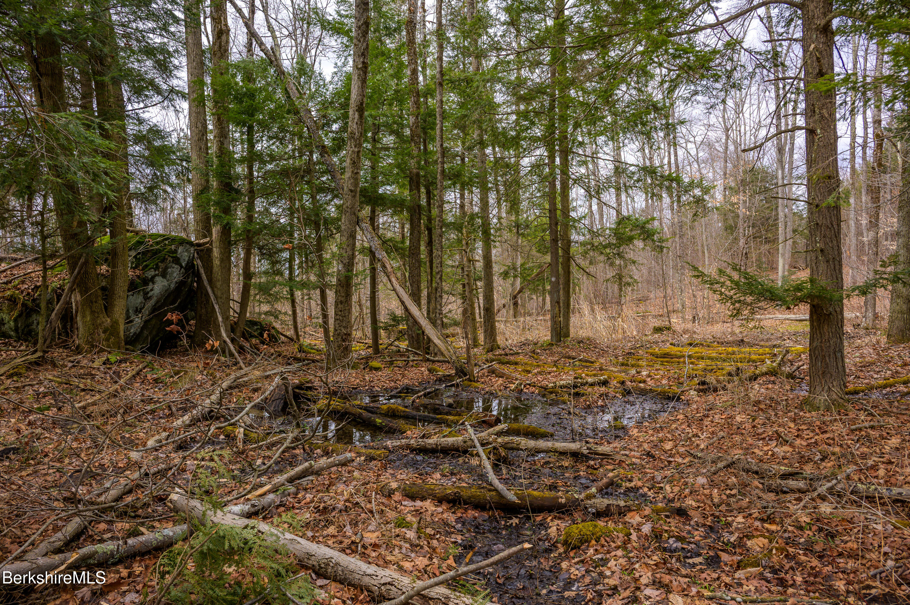 206 Stevens Glen Road Richmond, MA 01254 - Photo 35 of 49 Print - 00 Stevens Glen Rd Richmond MA 0