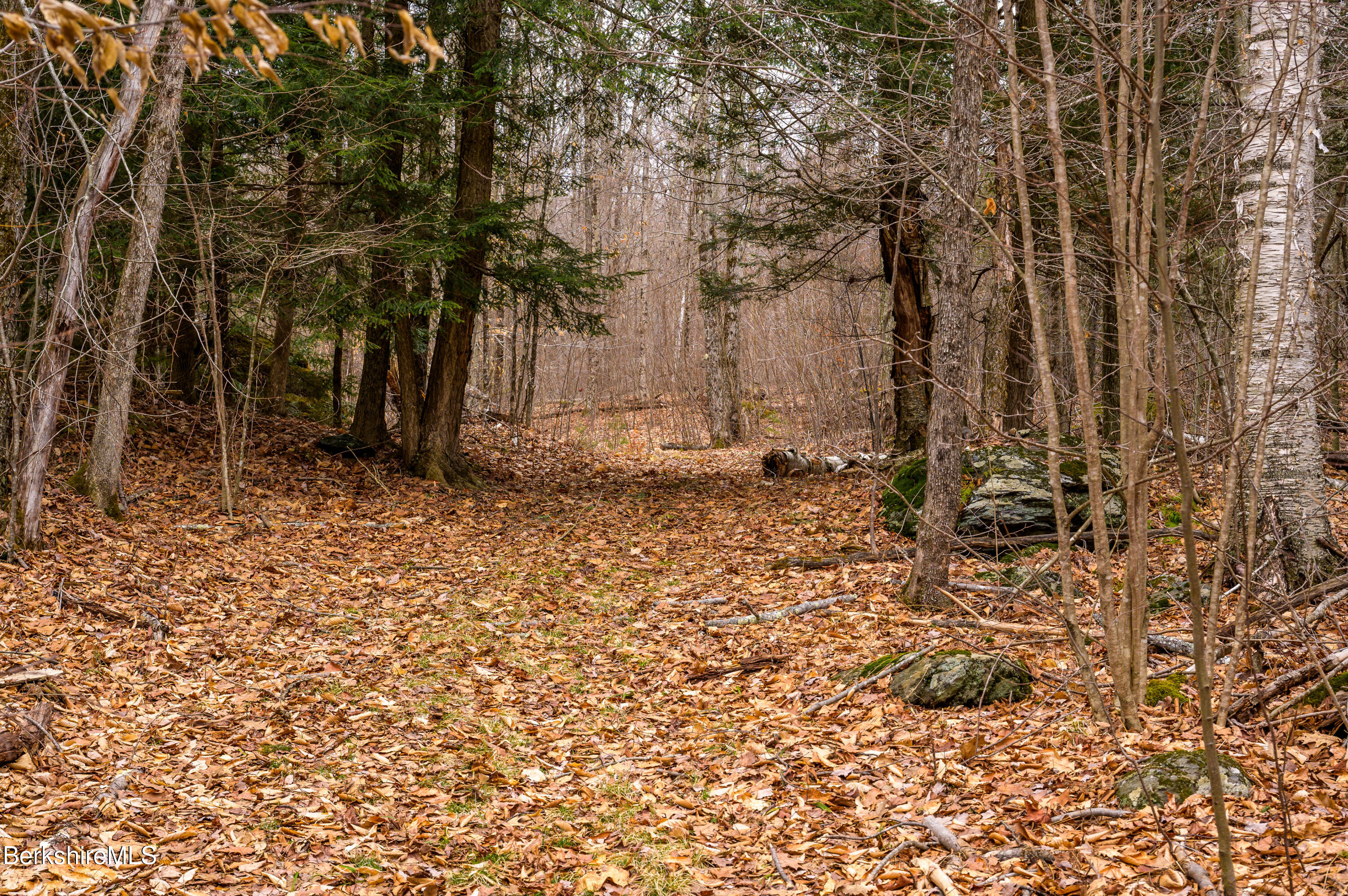 206 Stevens Glen Road Richmond, MA 01254 - Photo 36 of 49 Print - 00 Stevens Glen Rd Richmond MA 0