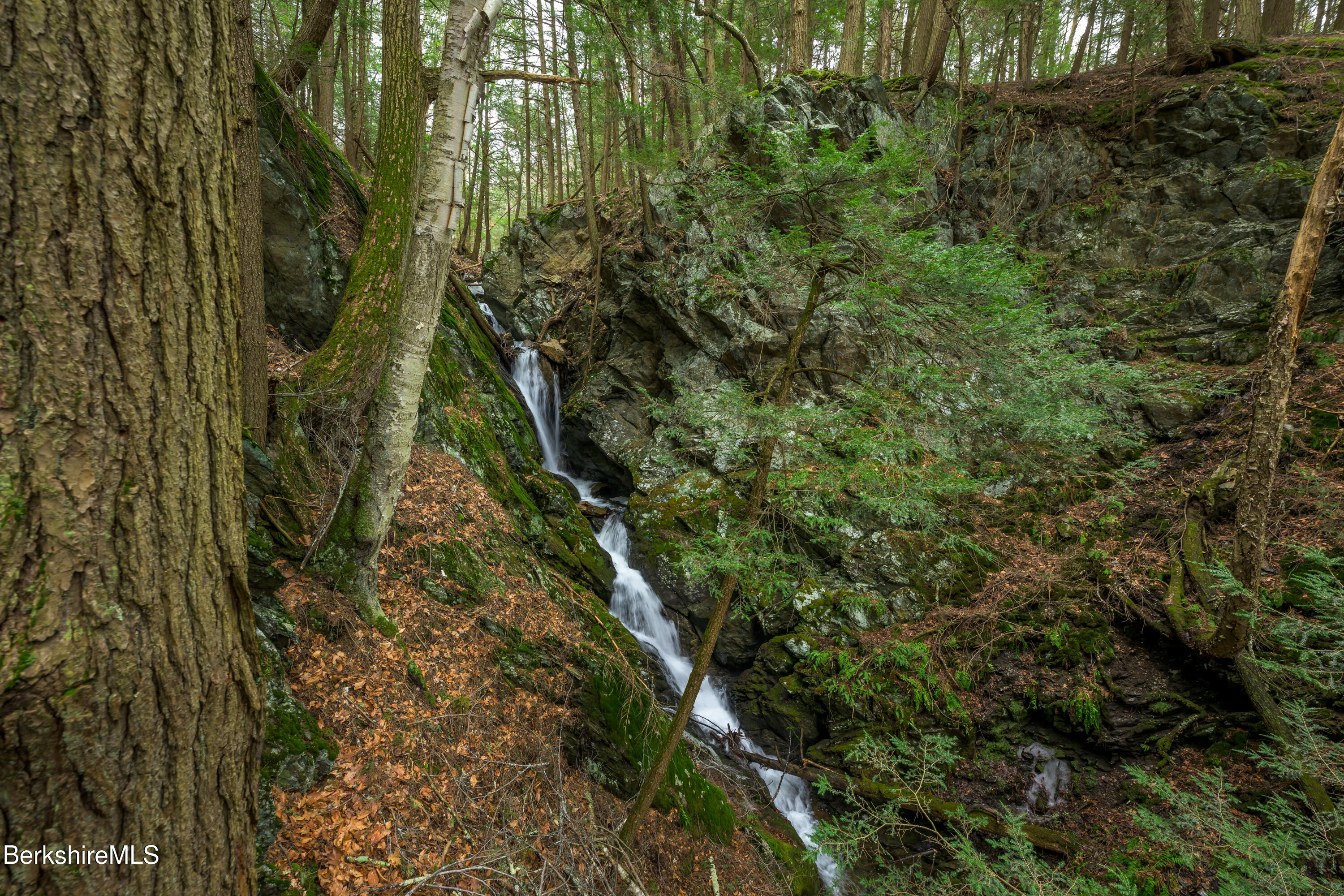 206 Stevens Glen Road Richmond, MA 01254 - Photo 41 of 49 Water