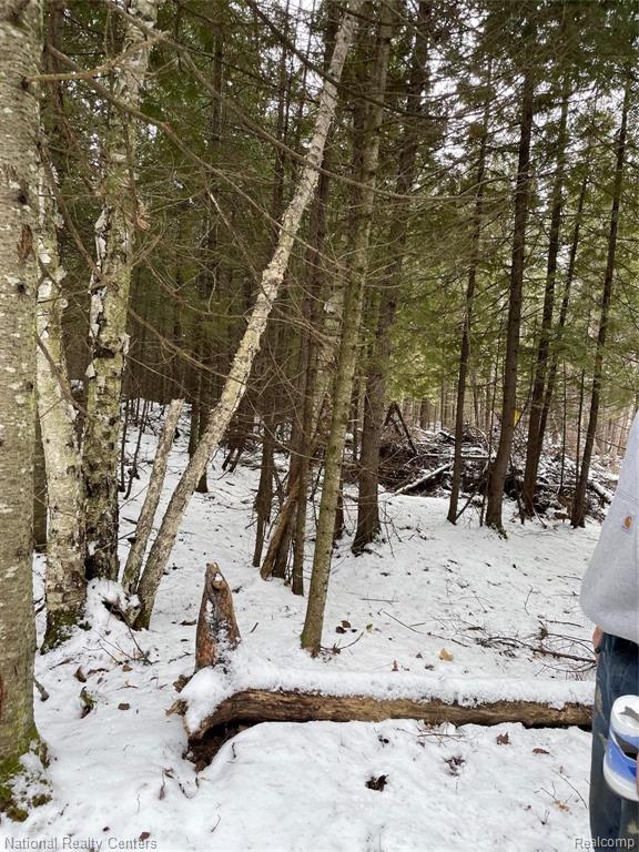 4502 Irwin Road Alpena, MI 49707 - Photo 24 of 29 Gallery Image 24