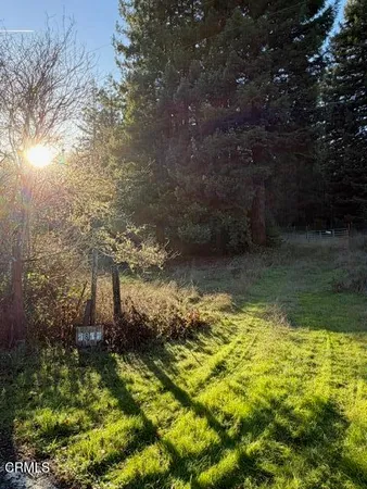 a view of outdoor space with wooden fence