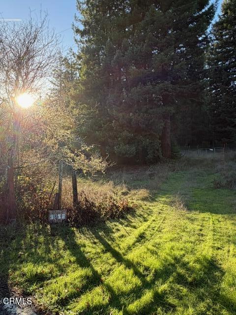 7800 Flynn Creek Road Comptche, CA 95427 - Photo 3 of 8 IMG_8971