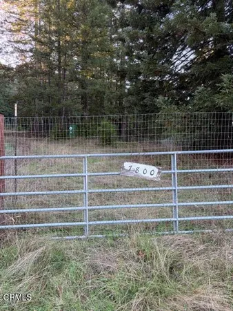 a view of backyard with green space