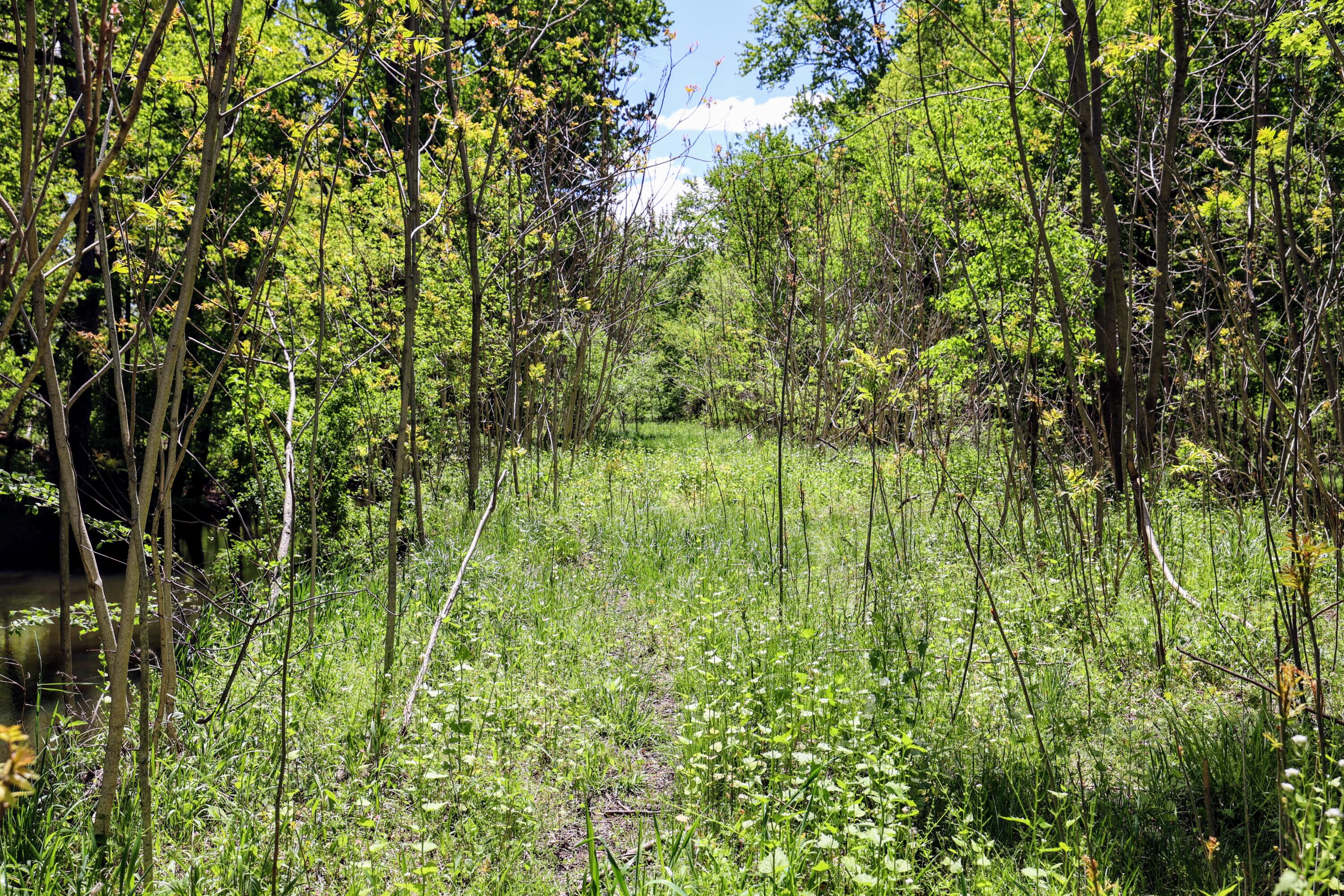 8 1/2 8 1/2 Mile Road Burlington, MI 49029 - Photo 21 of 55 21