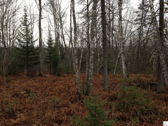 Two Harbors Mn 55616 Road Two Harbors, MN 55616 - Photo 10 of 13 Gallery Image 10